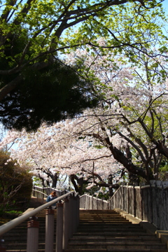 函館公園