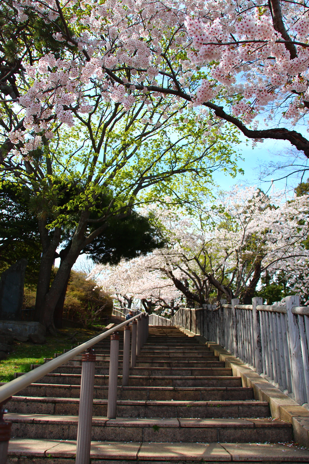 函館公園