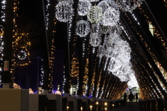 函館駅前クリスマスイルミネーション