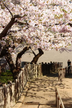 函館公園