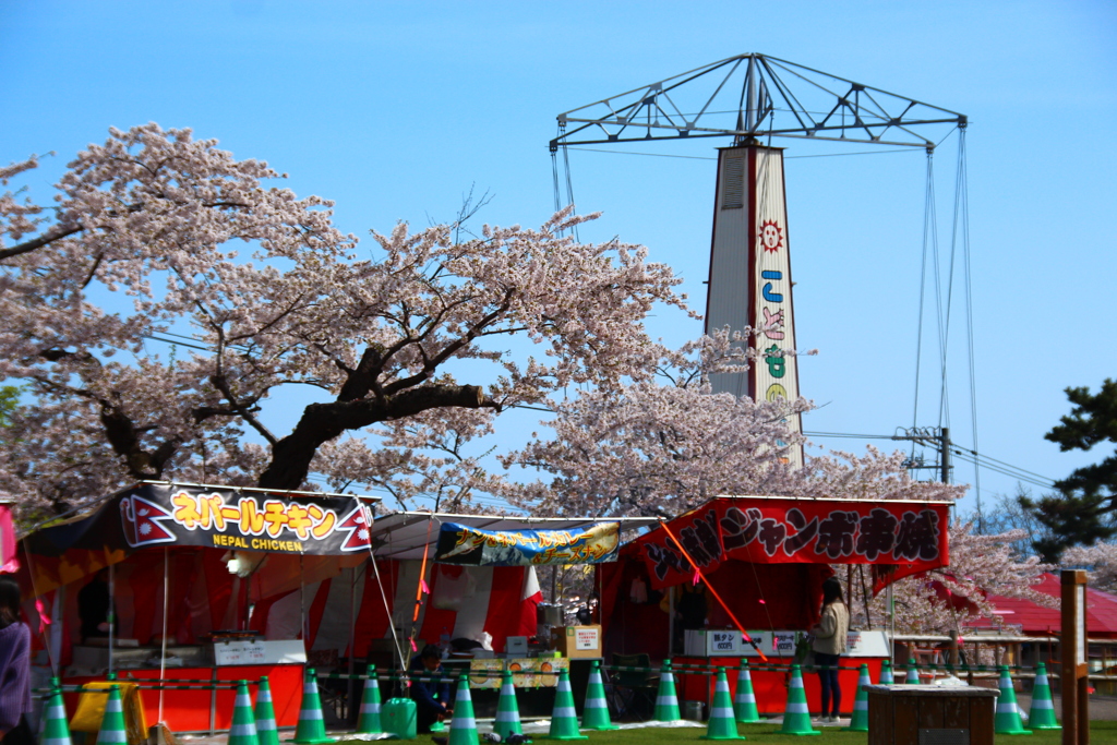 函館公園