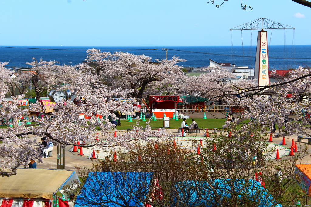 函館公園