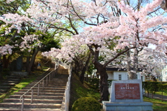 函館公園