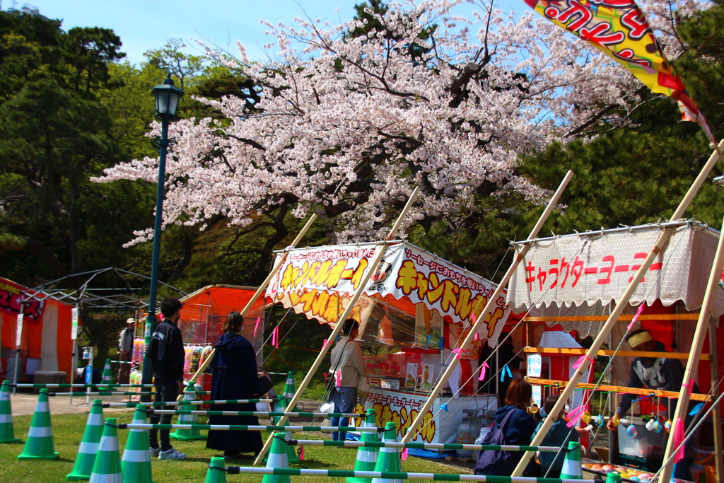 函館公園