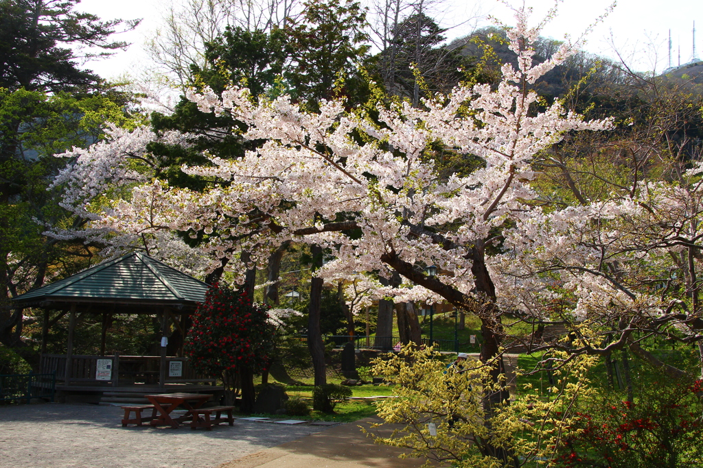 函館公園