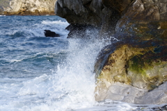 【白崎海洋公園】波打たれてる岩