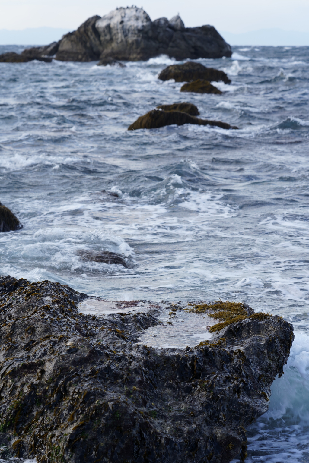 【白崎海洋公園】海水を貯める岩