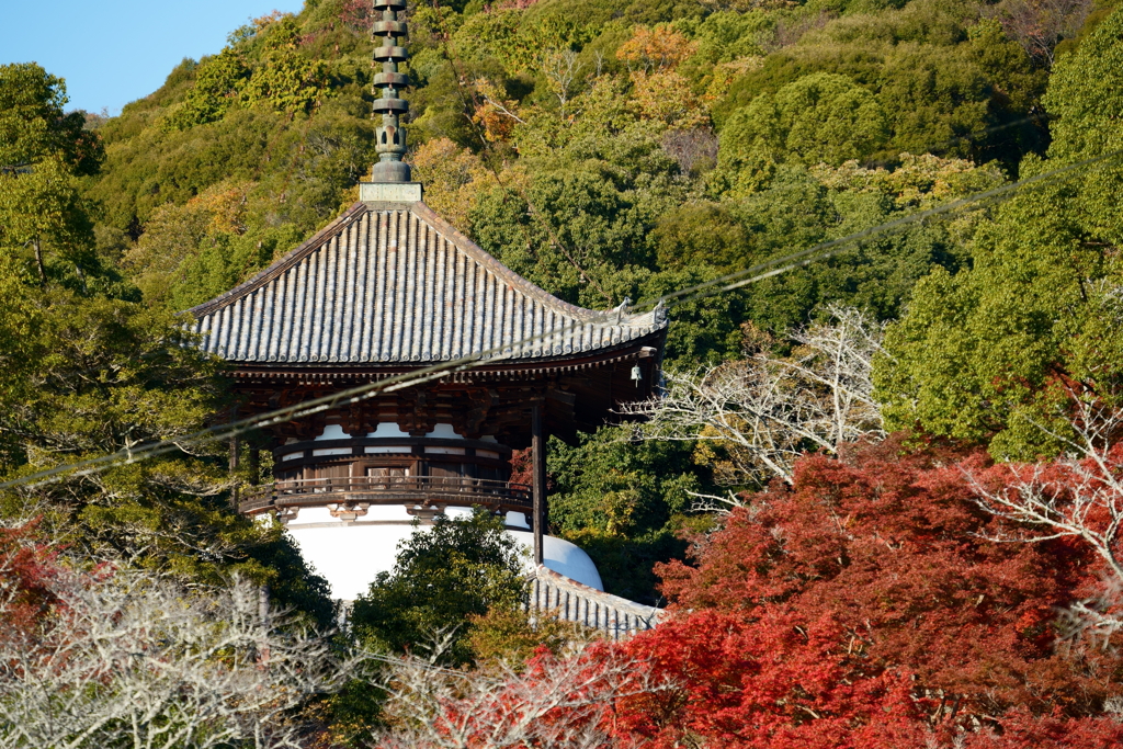 【根来寺】駐車場から大塔と紅葉