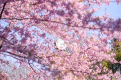 2:18pm Tokyo 
