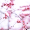 F3A5B734-8C9E-4258-AA96-ADA33863E3CC