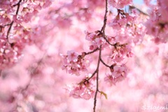 3C7B58E6-A993-41F6-A5ED-B453E92454AC