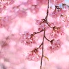 3C7B58E6-A993-41F6-A5ED-B453E92454AC