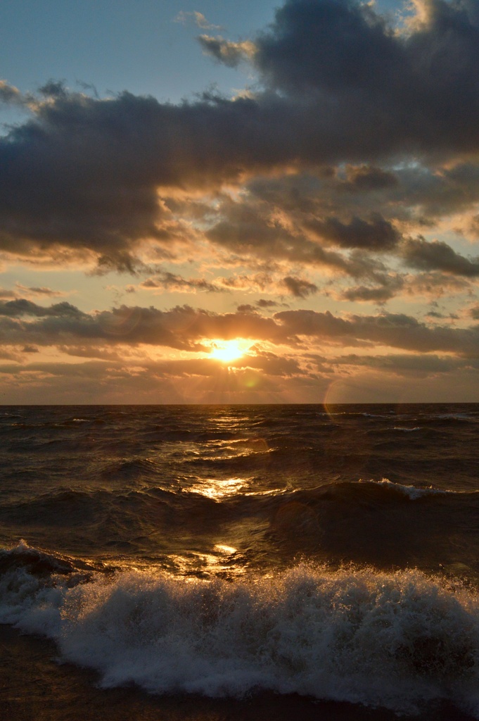 海