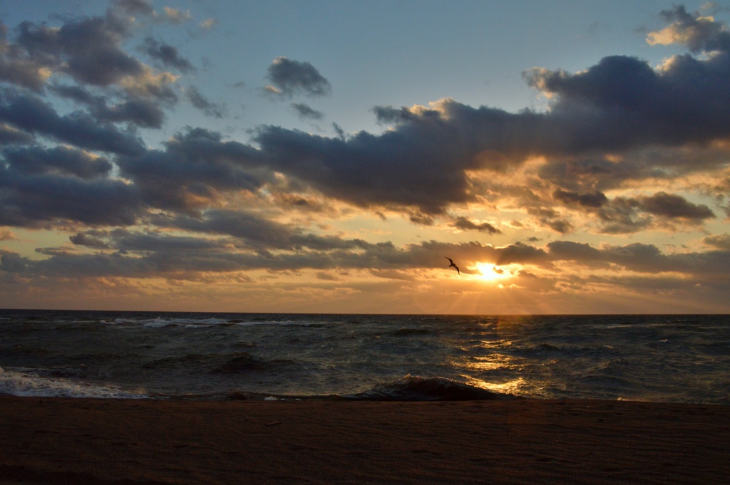 夕日