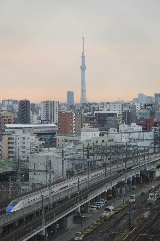 朝
