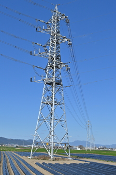 どこまでも続く送電線