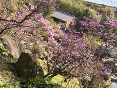 仙巌園