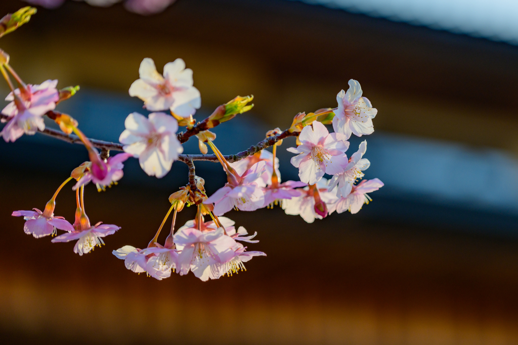 常宮神社＿６