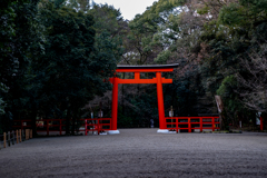 朱鳥居