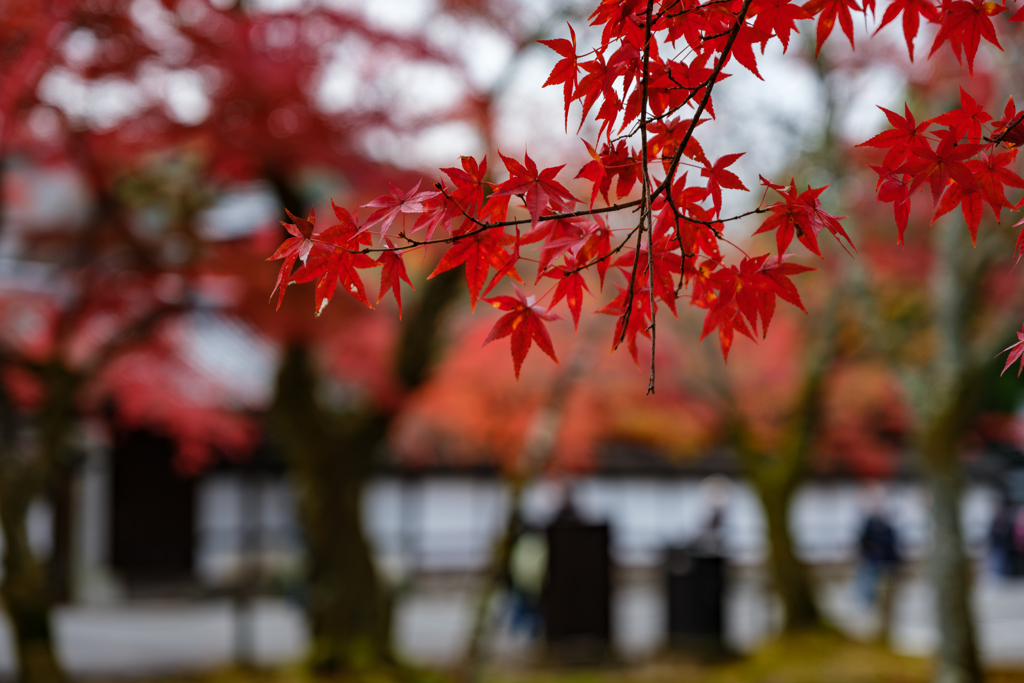 南禅寺３