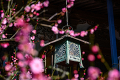 常宮神社＿２