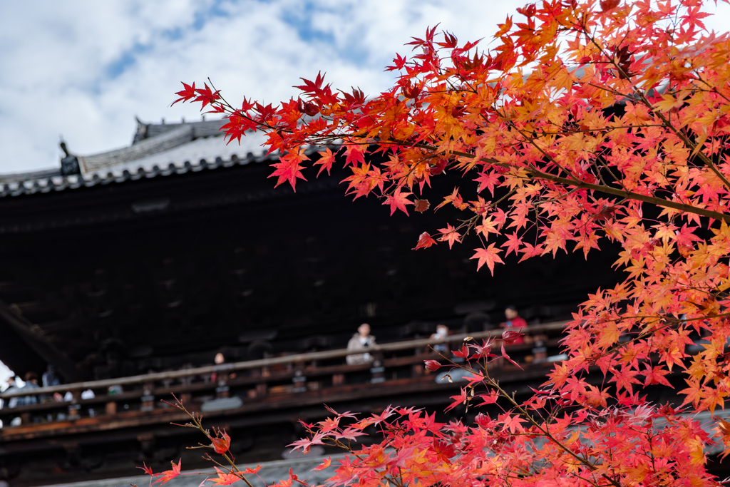 南禅寺１１