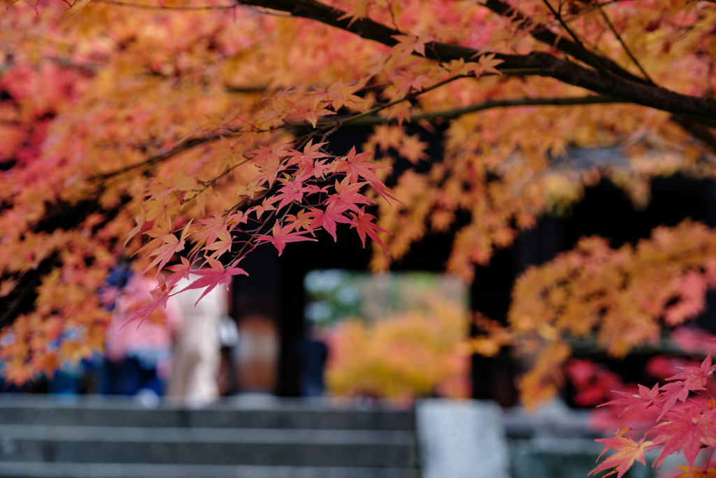 南禅寺２