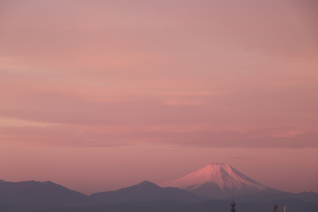 富士のお山