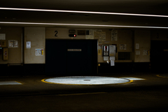 DSC_5538