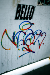 DSC_3259