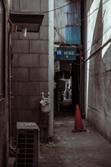 DSC_2473