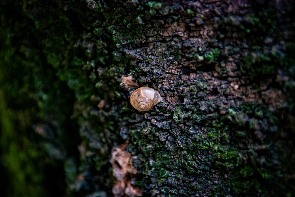 DSC_0167