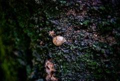 DSC_0167