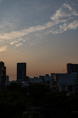 DSC_8776