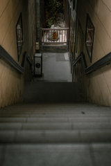 DSC_3249