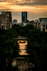 DSC_9558
