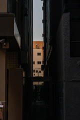 DSC_5072