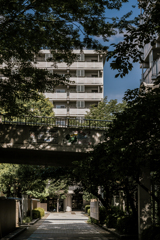 DSC_4270