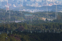 四日市市街と茶畑の防霜ファンの列