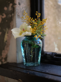 Cafe（6）