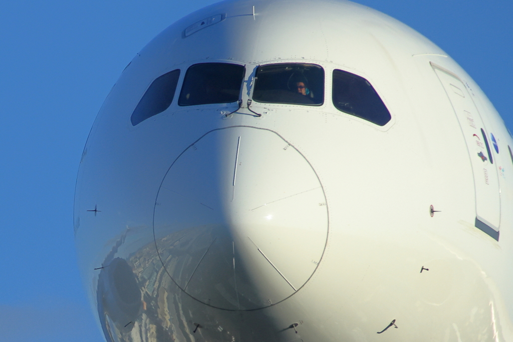 伊丹空港千里川側