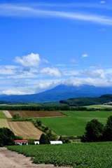 カンパーナ六花亭より