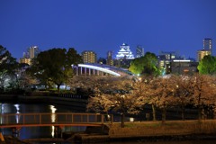 夜桜と大阪城