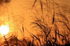 秋の夕暮れ