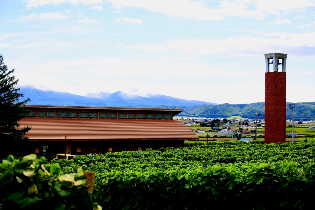 カンパーナ六花亭