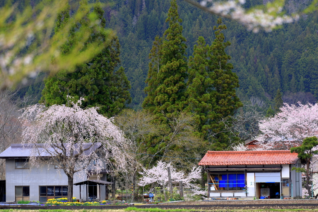 風景