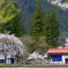風景