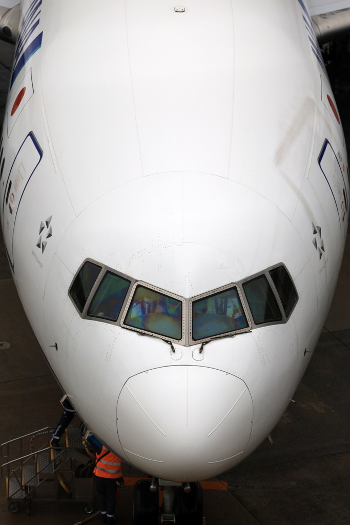 撮ってみたかった構図