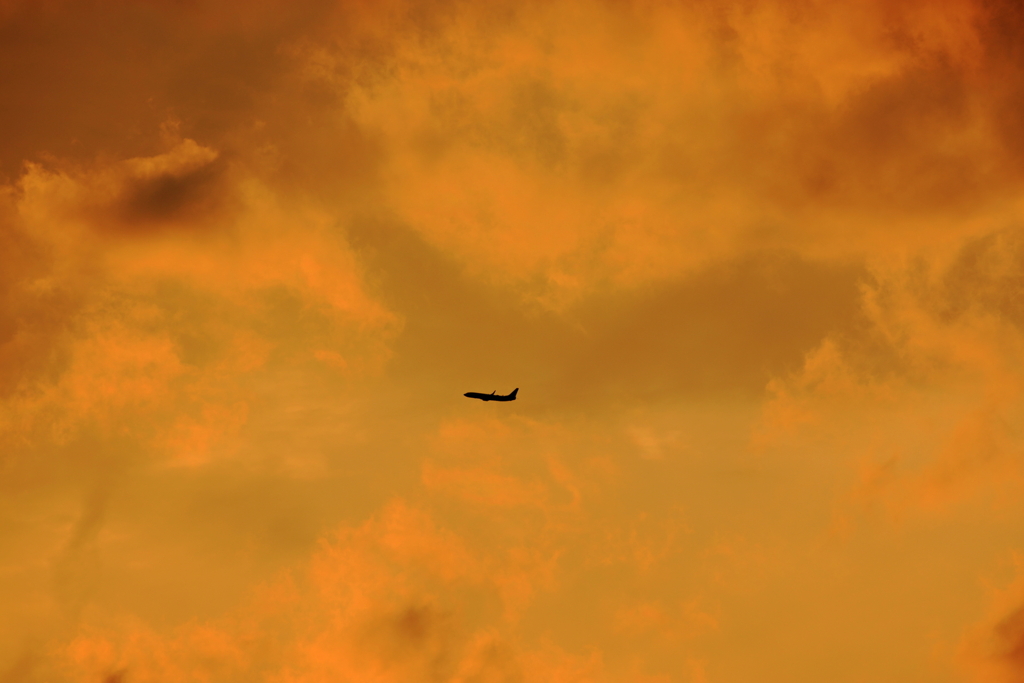 いってらっしゃい