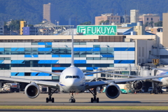 伊丹空港を背にして
